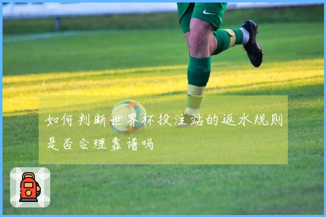 如何判断世界杯投注站的返水规则是否合理靠谱吗