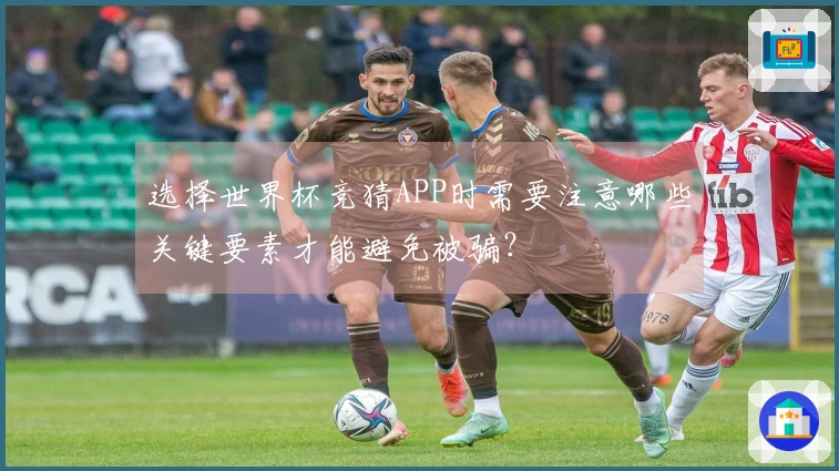 选择世界杯竞猜APP时需要注意哪些关键要素才能避免被骗？
